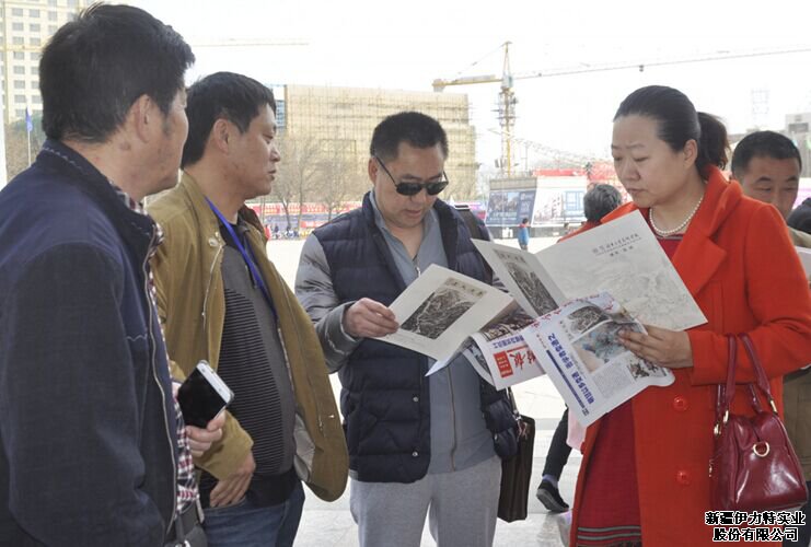 杏花节游客正在阅读伊力特报